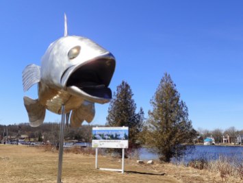 Hastings Pisces Park. This is one walleye not impressed with being skewered.